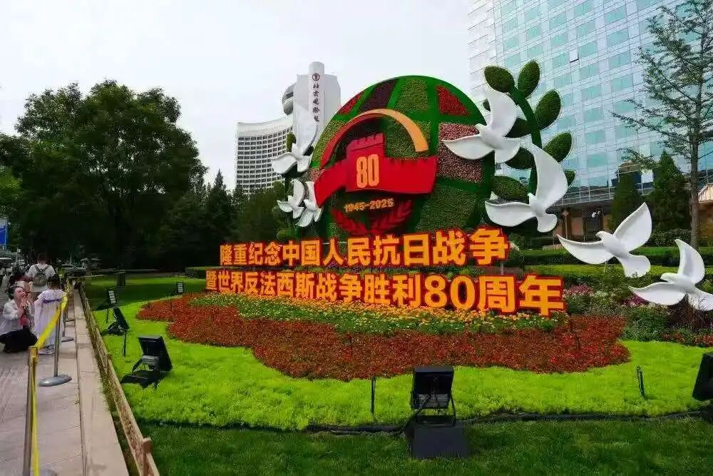 image5.jpeg