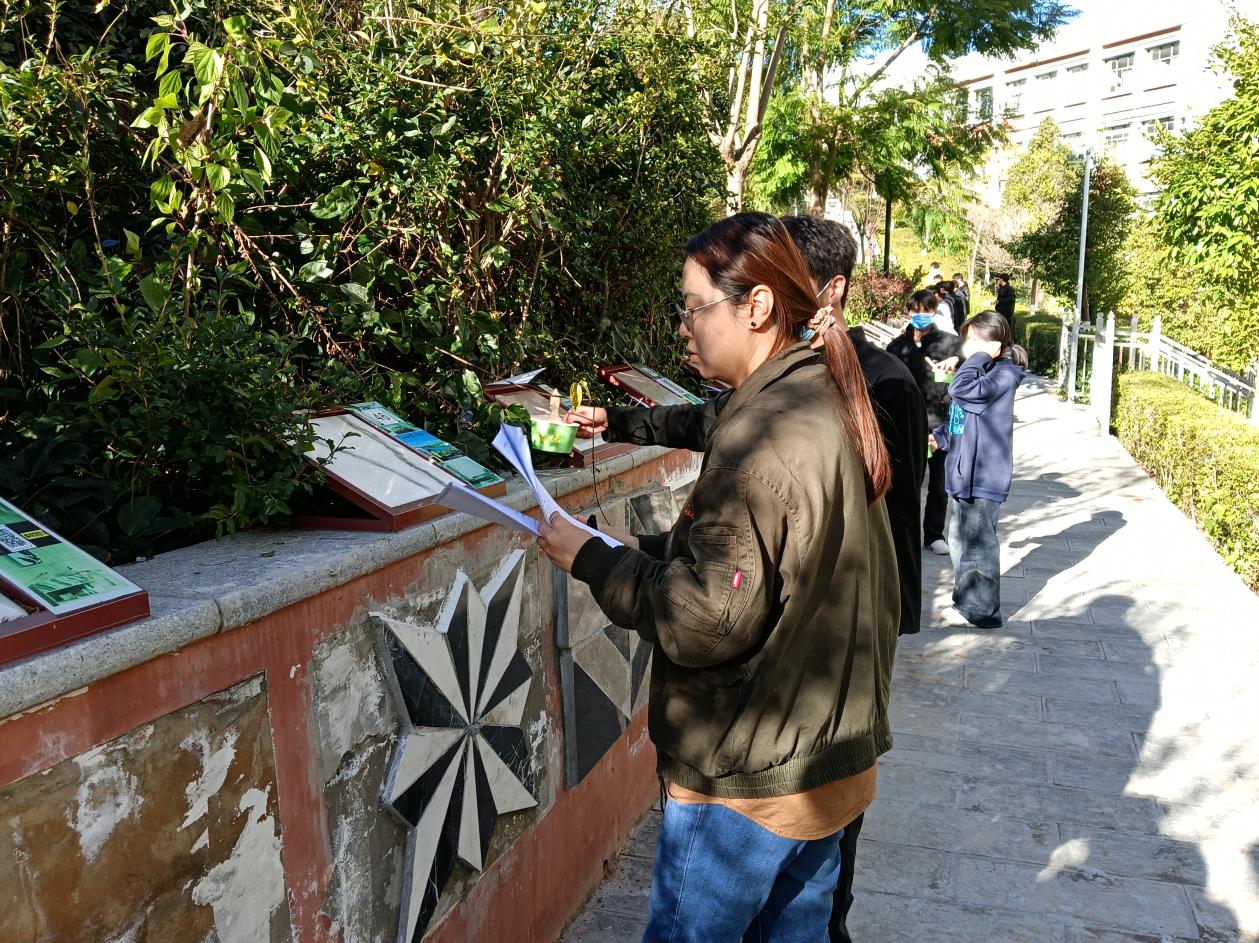 image8.jpeg